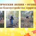 Осенняя экологическая акция 2020