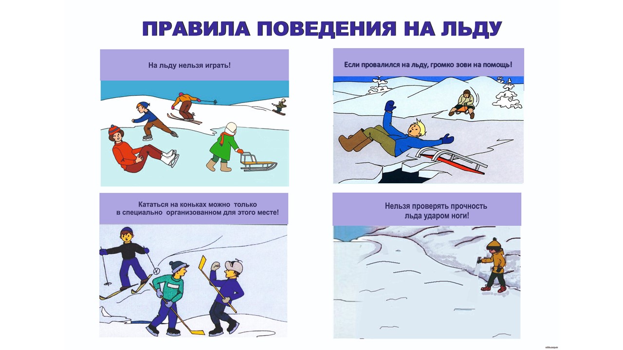 Поведение на льду